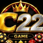 C22 Game